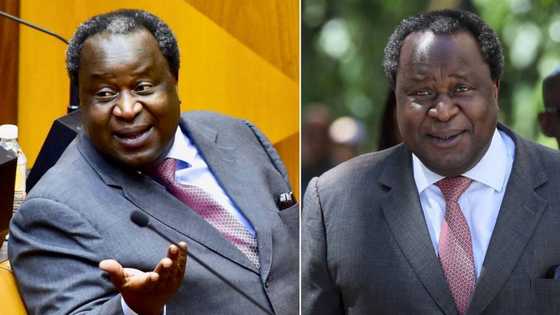 Former Finance Minister Tito Mboweni shows off fresh cut, social media users cannot get enough