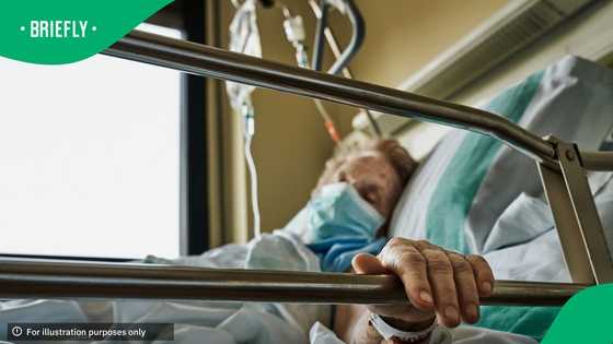 Stellenbosch farming couple fight for lives after balaclava gang attack at Neethlingshof Farm