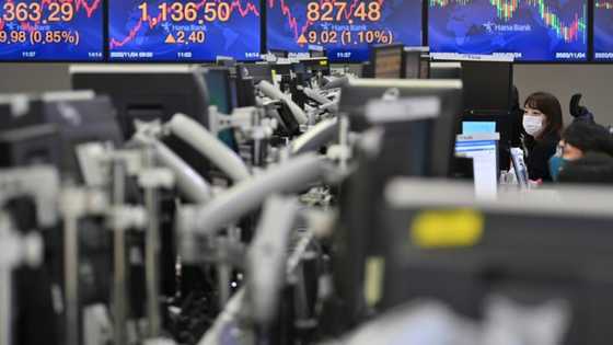 Asian markets rally after Wall Street highs