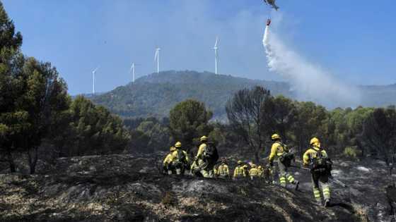 Spain, Portugal battle to control huge wildfires