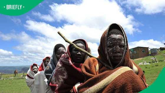 35 initiates dead and 180 rescued from bogus schools in 2026 winter season