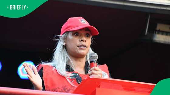 Economic Freedom Fighters rejects ANC's suggestion of using Parliament's legal team