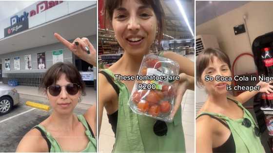 SA woman stunned at tomatoes retailing for R200 after doing price comparison at Pick 'n Pay store in Lagos