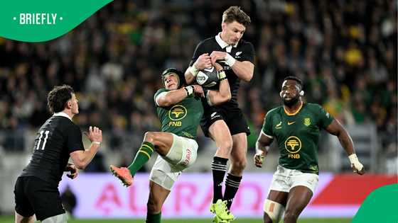 Springboks shine in Wellington: All Blacks dismantled in record-breaking display