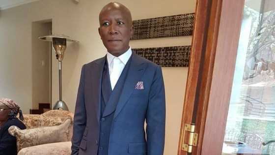 Julius Malema touches down by helicopter at Jacob Zuma's Nkandla home