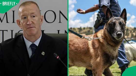 Warrant Officer Sander wants to use R180k coffee machine donation for narcotic dogs, SA praises him
