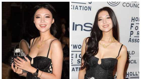 Who is Wenwen Han? Age, children, surgery, movies, profiles, net worth