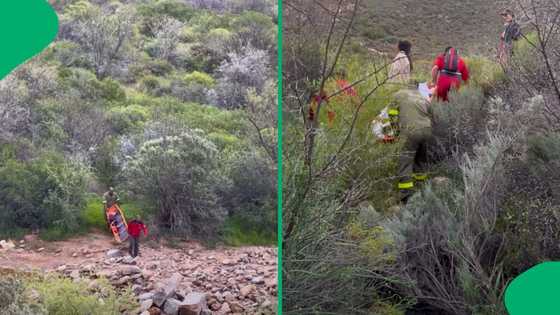 Western Cape conservation manager rescued from mountain slope after serious injury