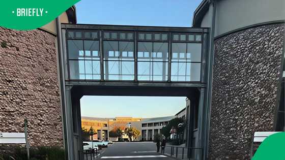 TikTok video inside 1 of most expensive schools in Gauteng stuns South Africa