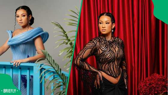 'BB Mzansi' star Ashley Ogle rejects GoFundMe donations: "I like to work for money"