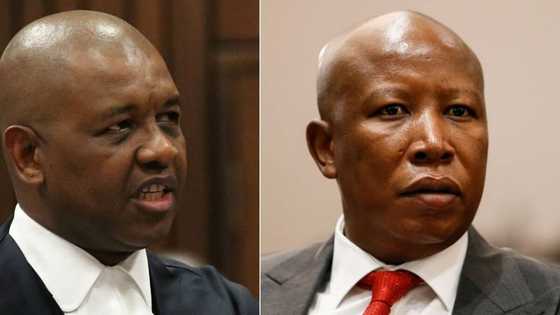 Malema and Mpofu question Mlambo's sexual harassment allegations, Mokoena says EFF leaders are fair