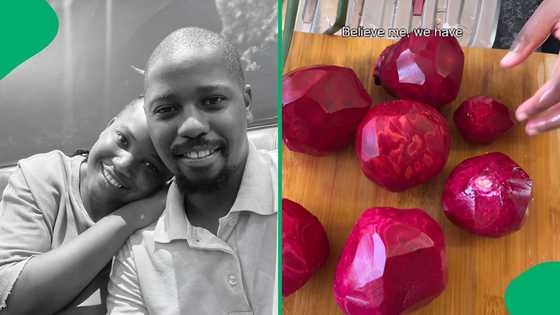 "This is amazing": Pretoria farmer flexes find abundance of homesteading, SA impressed