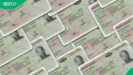 “Extend them for life”: SA reacts as government plans to extend driver’s licence validity to 8 years