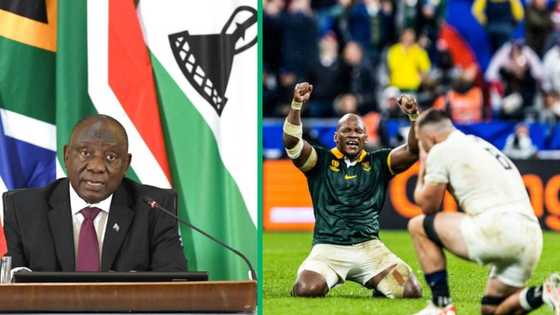 RWC: Mzansi reminds Cyril Ramaphosa of public holiday ahead of Springboks and All Blacks final