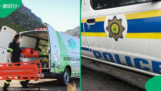 Police officers and awaiting-trial prisoners dead after SAPS vehicle collides with bakkie in Limpopo