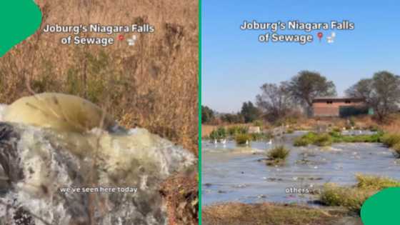 “It’s terrible”: US citizen shares clip of Helen Zille shocked by Joburg’s ‘Niagara Falls of sewage’