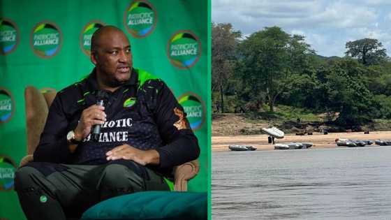 Patriotic Alliance members make Zimbabwean man at Limpopo border return to Zimbabwe in viral video