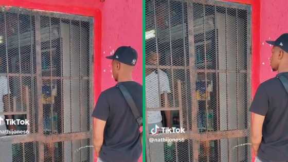 Man urinates into spaza shop in full view of owner, disturbing video angers Mzansi