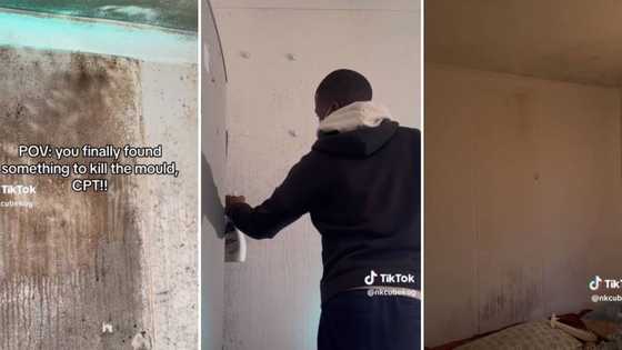 Man shows how he managed to clean and kill stubborn mold in his Cape Town home, SA left stressed and impressed