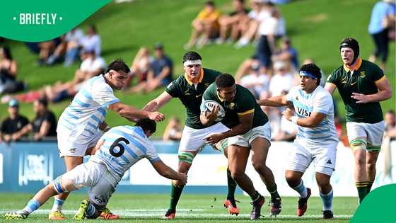 Springboks coach Rassie Erasmus backs rookie Zachary Porthen for surprise debut against Japan