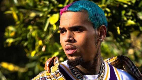 Chris Brown's 32nd birthday party broken up by LA police force