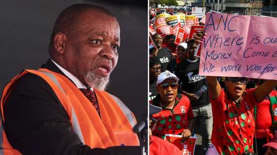 Gwede Mantashe booed off stage during Cosatu rally, SA says it’s a sign of what’s to come in 2024