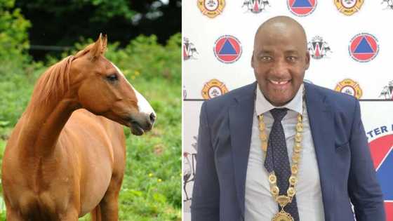 Photo of Gayton McKenzie on a horse as he shows off his mayoral transport has SA cracking jokes