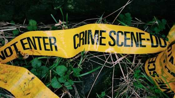 Gugulethu: 7 People reportedly shot and killed execution style at traditional ceremony