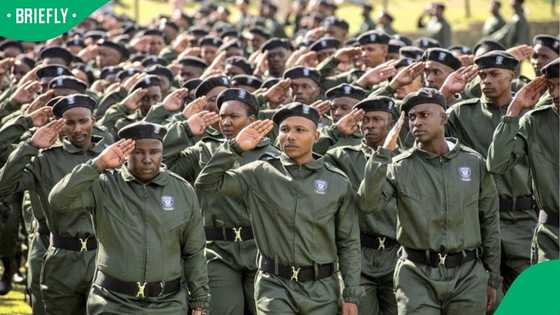 Gauteng’s crime prevention wardens now peace officers, 300 dismissed for misconduct