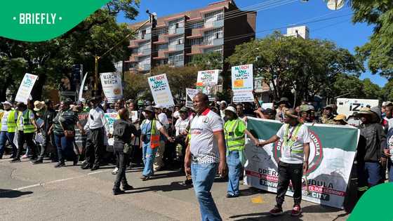 Tanzanian High Commission refutes claims of xenophobia in South Africa