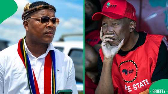 Ngizwe Mchunu says Julius Malema not welcome in KZN after Mkhwanazi remarks
