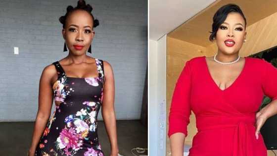 Ntsiki Mazwai, Anele Mdoda and other SA celebs weigh in on BMW scandal: "They could have left ancestors out"