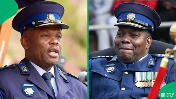 SAPS top cop General Shadrack Sibiya weighs in after he is placed on special leave