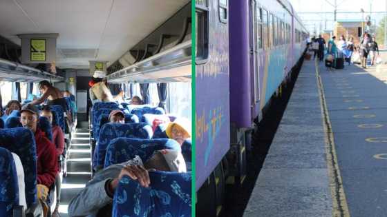 Prasa’s Johannesburg to Cape Town trip completed by bus due to cable theft, SA blames economic sabotage