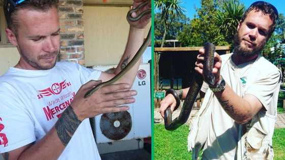 Beloved wildlife expert Rico Pentz succumbs to venomous cobra bite, SA mourns