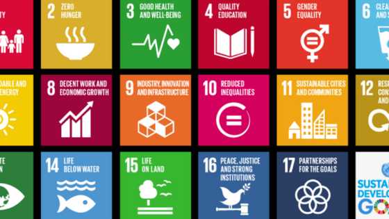 Briefly News becomes UN Sustainable Development Goals Media Compact member