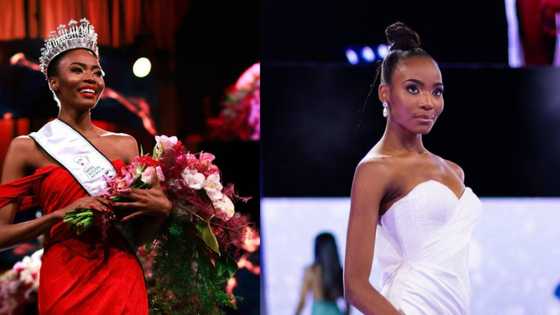 Halala: Mzansi celebrates Lalela Mswane being crowned Miss SA