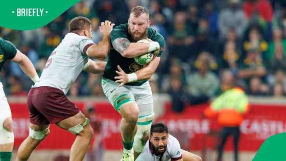 Springboks fans mock viral CEO cheating scandal as Boks smash Georgia
