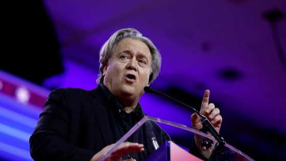Steve Bannon's net worth, age, family, education, career, profiles