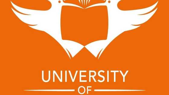 List of courses that require 20 points at UJ in 2022: Everything you should know