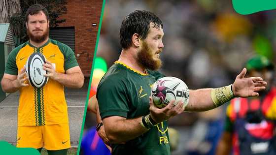 Who is Marnus van der Merwe? Meet the Springboks new star