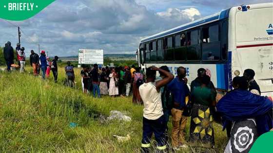 32 undocumented foreigners found aboard bus near Bloemfontein, SA debates as driver is investigated