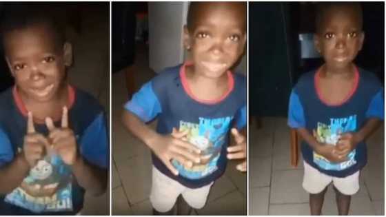 Hilarious video shows little boy telling his mother to calm down