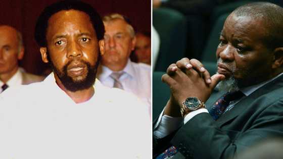 Woman sparks outrage after wishing Gwede Mantashe was assassinated like Chris Hani: “She needs to be punished”