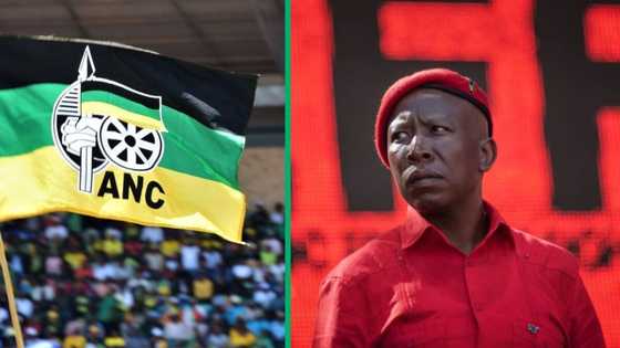 EFF leader Julius Malema unfazed by ANC’s BRICS political parties dialogue snub: “It’s fair and square”