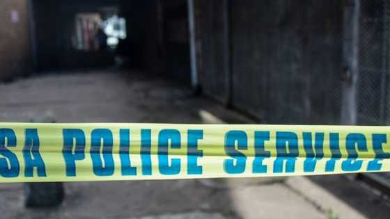 Secretary, 61, shot and killed outside Primrose Primary School, Cape Town, in her car on Friday morning