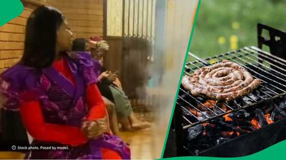 Dog successfully steals meat at braai in TikTok video, South Africa impressed by sneaky pet