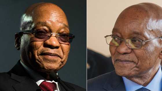 President Zuma trends online as supporters thank Msholozi for all he's done