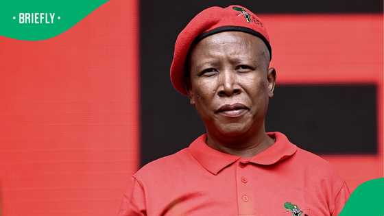 South Africans divided as multiple civil society groups call for Julius Malema’s removal from JSC