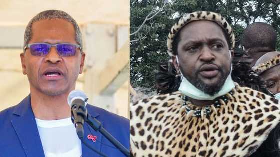 IFP apologises for King Misuzulu on poster, Royal House remains unimpressed